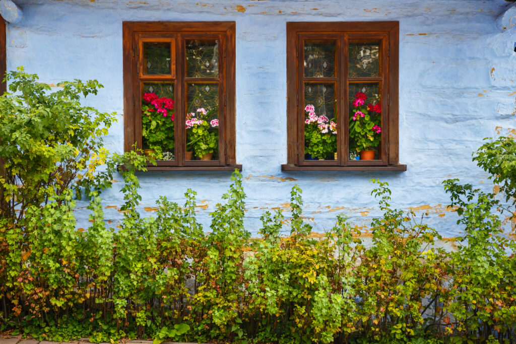 Zabytkowy dom z niebieskimi ścianami i oknami ozdobionymi kwiatami w Lanckoronie