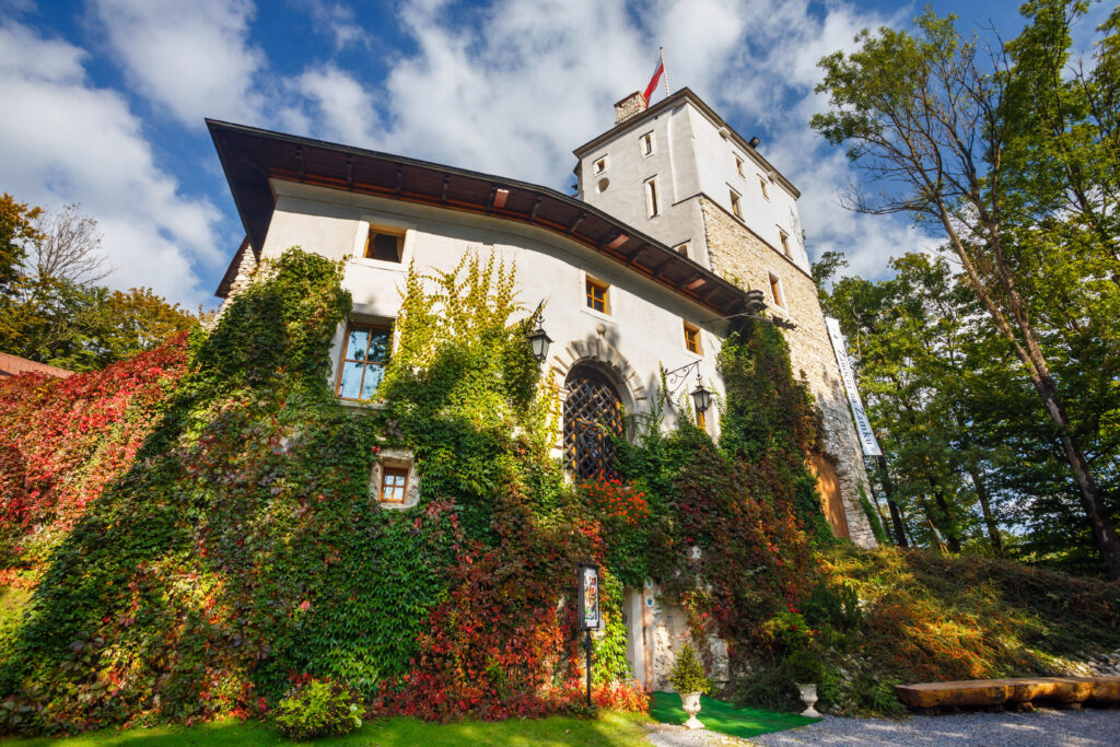 Zamek w Korzkwi z fasadą porośniętą bluszczem