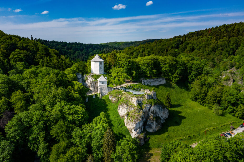 Ruiny Zamku w Ojcowie na wzgórzu