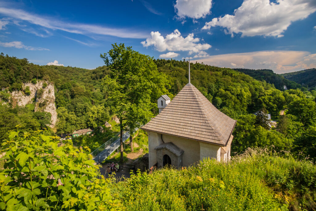 Zamek w Ojcowie z góry