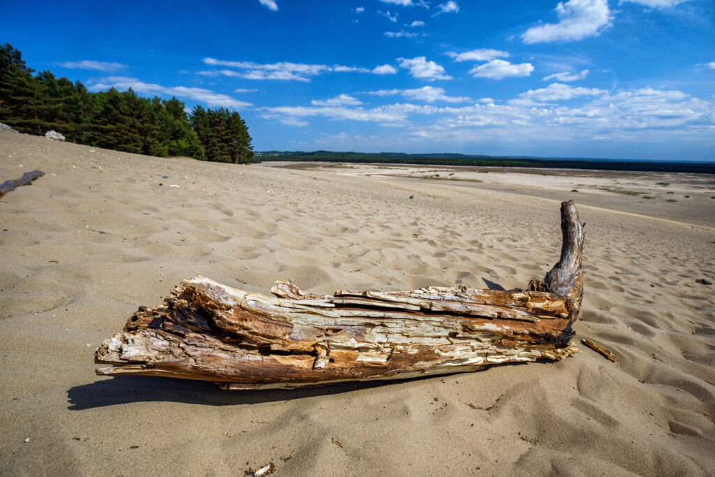 Pustynia Błędowska