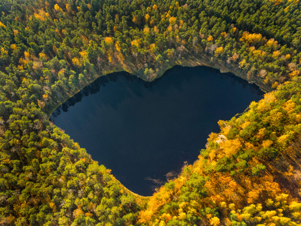 Puszcza Niepołomicka