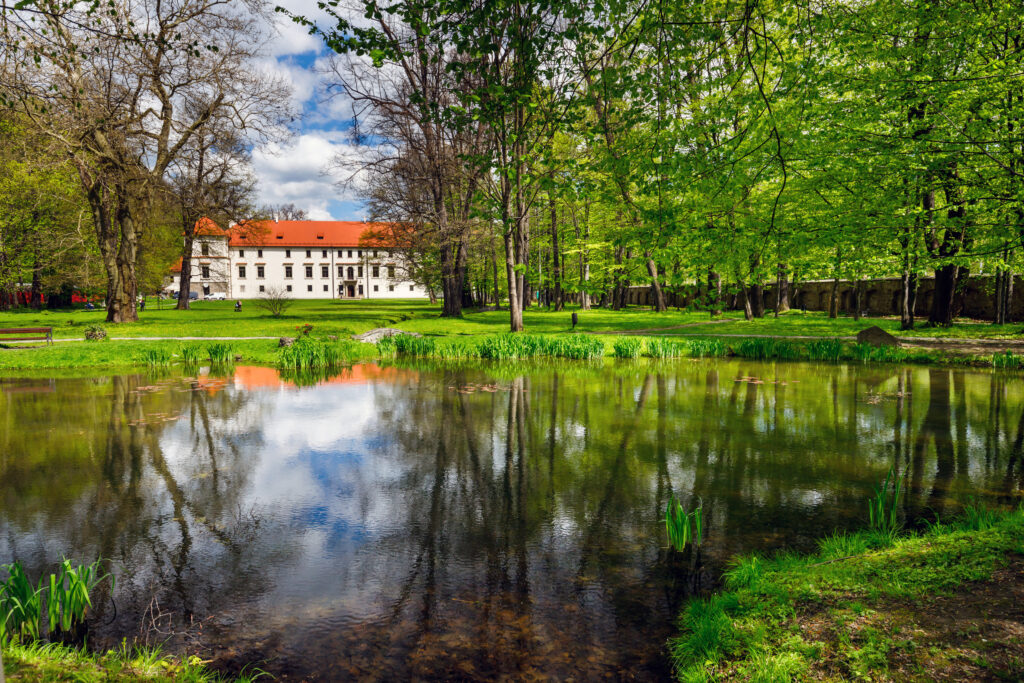 Sucha Beskidzka - Zamek Suski