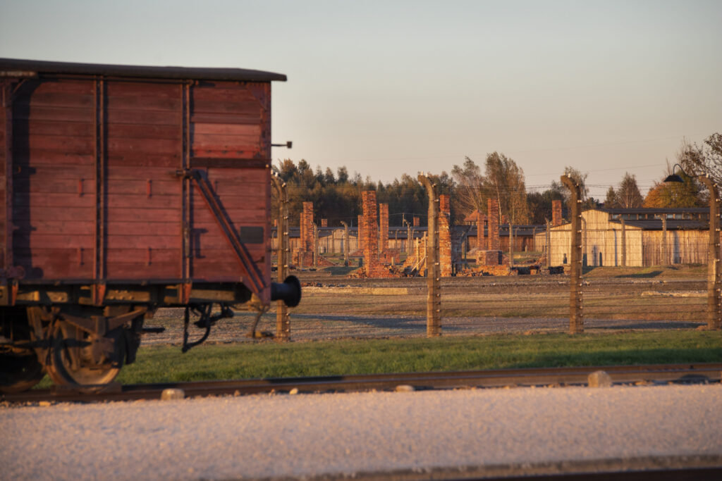 Wagon towarowy na rampie w Auschwitz II-Birkenau, w tle ruiny baraków