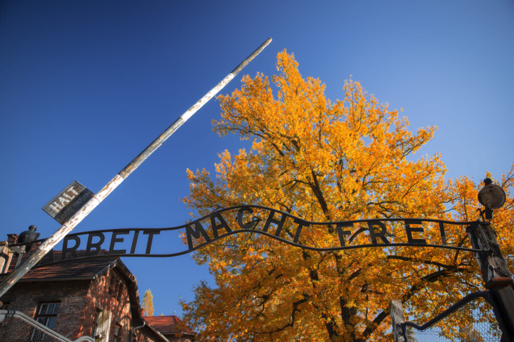 Brama z napisem Arbeit macht frei na tle drzewa z jesiennymi liśćmi