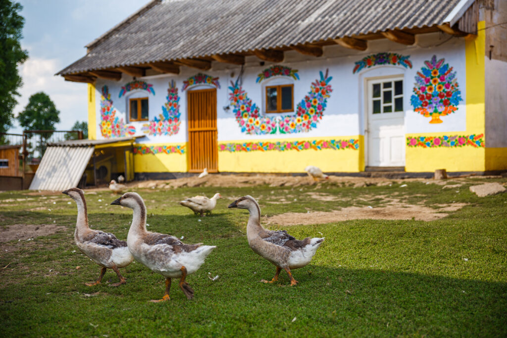 Dom w Zalipiu z malowanymi motywami ludowymi i gęsiami spacerującymi po podwórku