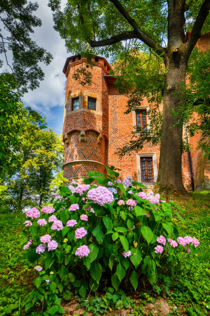 Zamek w Dębnie z wieżyczką